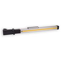 OSPE25-ST Trapezoidal Screw Driven, Glider Bushing, Rodless Linear Actuator